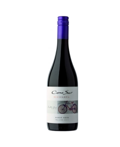 Cono Sur Bicicleta Reserva Pinot Noir